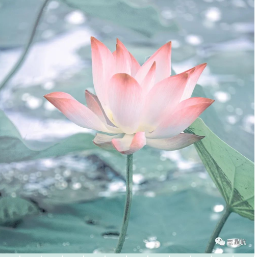 定了！今年居民醫(yī)保繳費(fèi)標(biāo)準(zhǔn)每人每年350元！
