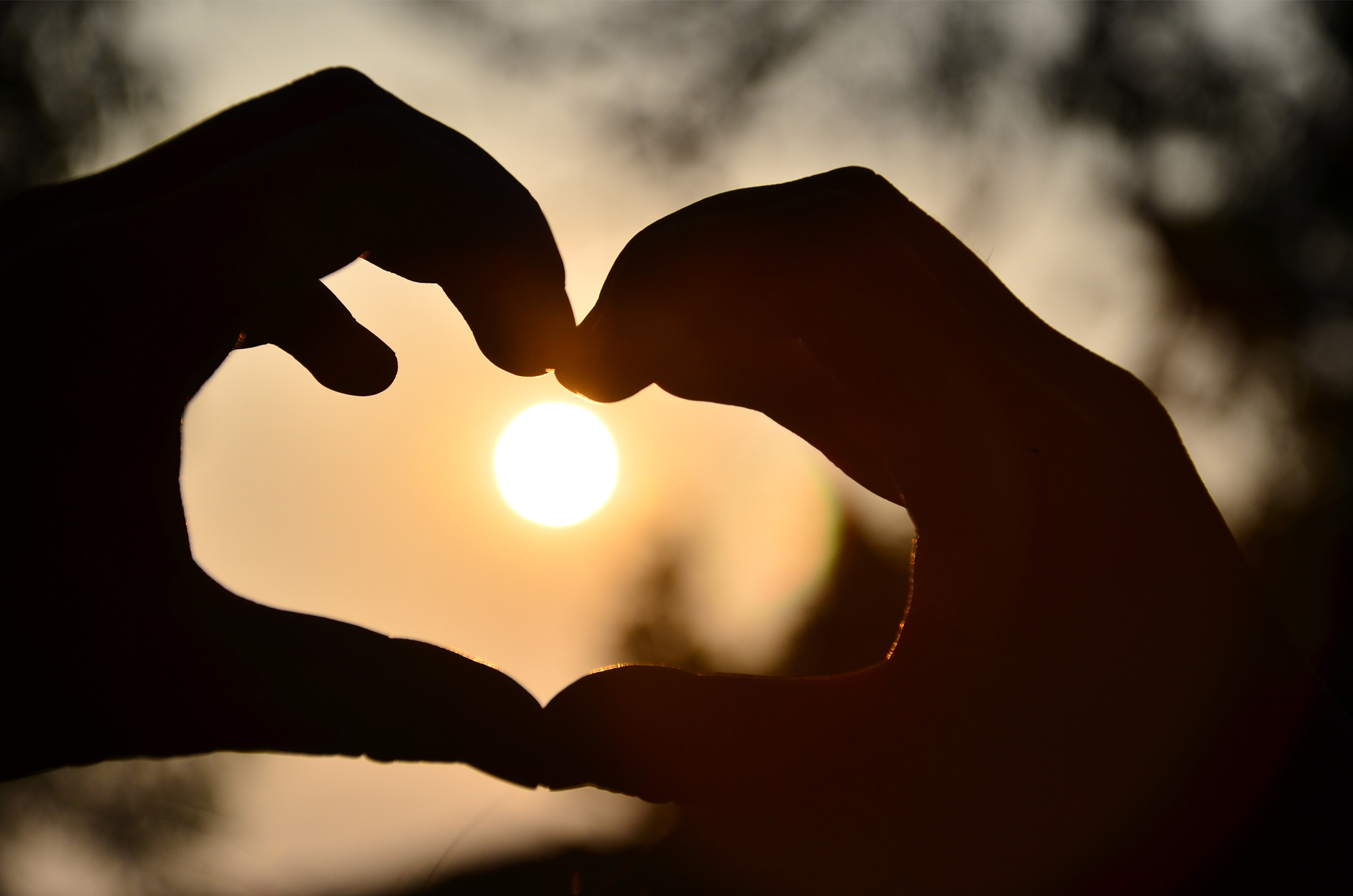 好太太智能晾衣機(jī) 好太太智能晾衣機(jī)